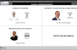 Simulador de votos
