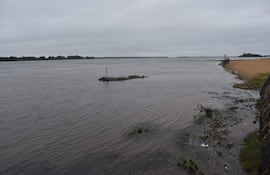 Río Paraná cubierta de algas en zona de Ayolas.