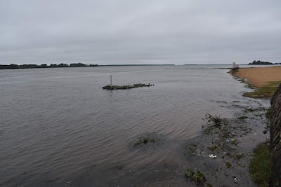 Río Paraná cubierta de algas en zona de Ayolas.