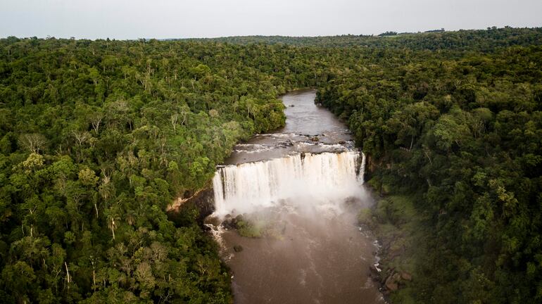 Vista aérea de una cascada rodeada de vegetación densa en un bosque tropical, sin personas visibles.