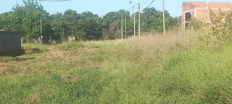 Las calles del barrio Buena Vista están en lamentables condiciones.