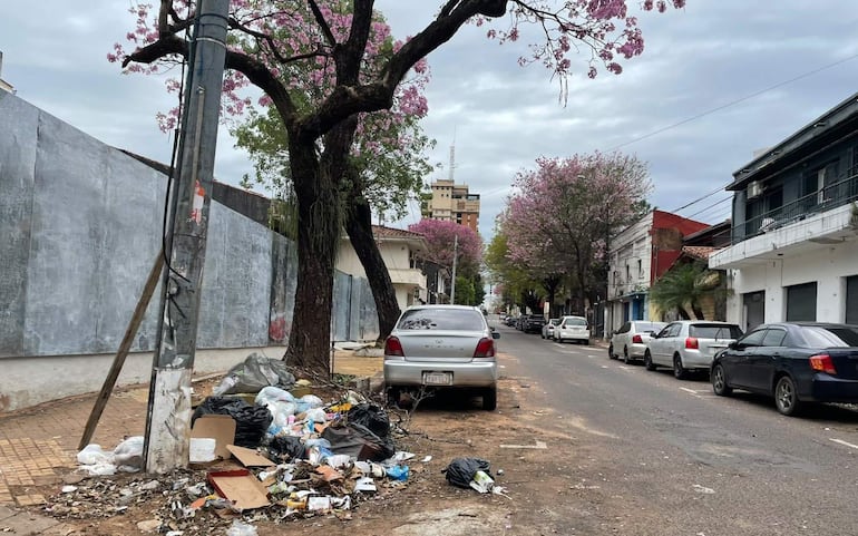 Coche gris al lado de basura acumulada en la acera, con árboles y edificios al fondo.