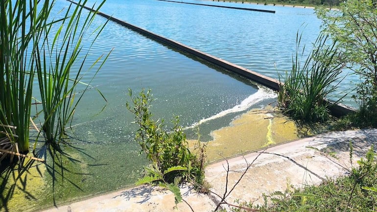 Una de las piletas de la planta de tratamiento de residuos cloacales.