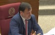 Claudio Lovera, con traje azul y corbata roja, habla concentrado en una sesión legislativa con sillones de cuero de fondo.
