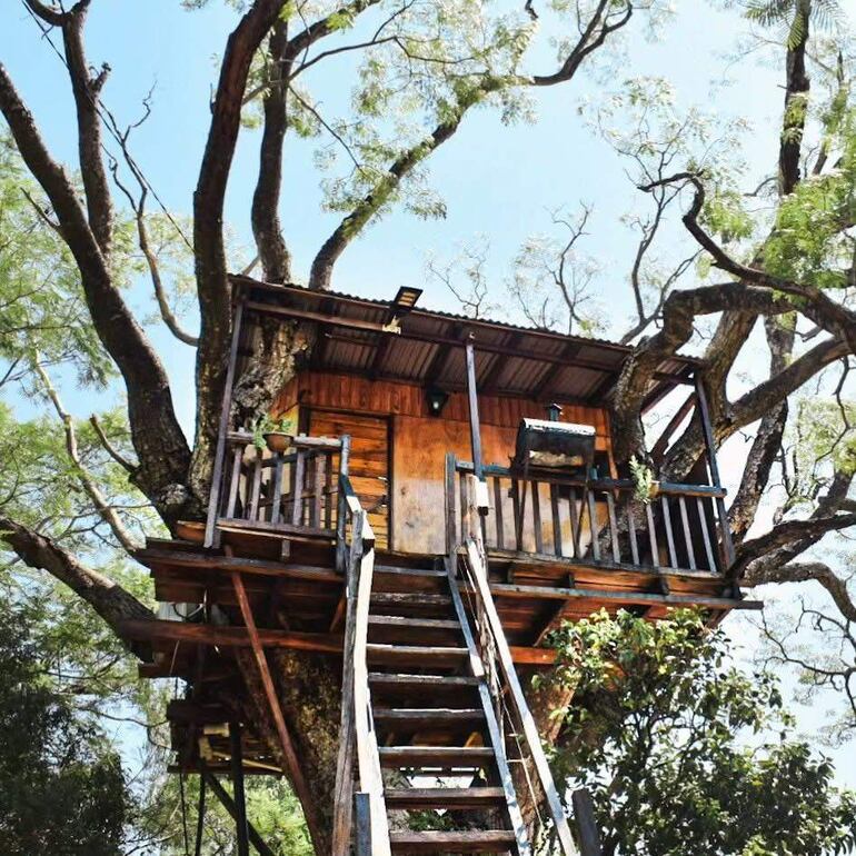 La cabaña en el árbol es una de las alternativas de hospedaje que ofrece Paraguarí a los turistas que buscan una experiencia diferente en contacto con la naturaleza.