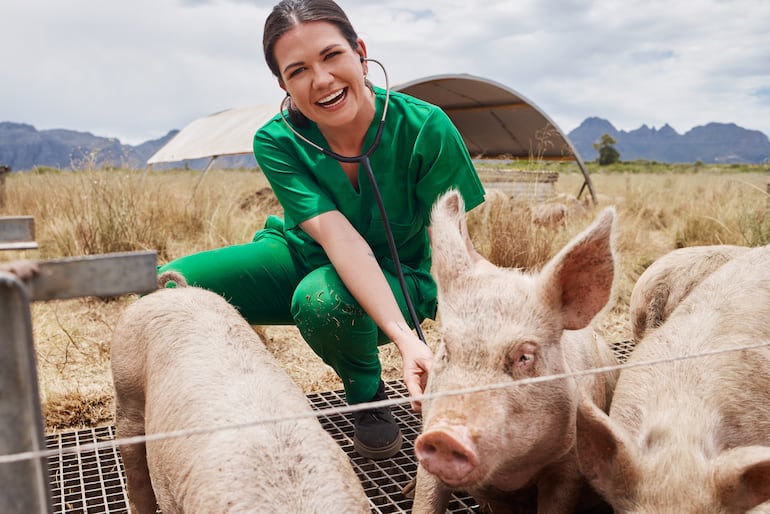 Veterinaria y un cerdo.