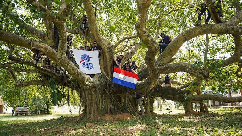 Catorce personas sonrientes en un árbol, vistiendo camisetas oscuras, sostienen banderas de Colosos de la Tierra y Paraguay.