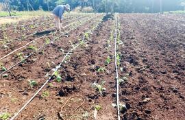 El sector agrícola tiene un peso particularmente elevado en la estructura productiva paraguaya.