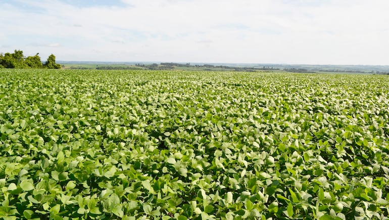 Paraguay adeuda al FMI 0,6% del PIB, frente al 8,6% de Argentina