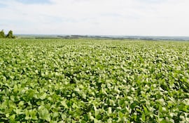 Paraguay enfrenta limitaciones estructurales propias de economías dependientes de commodities.
La concentración exportadora es un ejemplo.