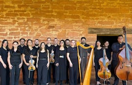 Grupo de 15 músicos con violines, un arpa y un chelo, todos en ropa oscura, sonriendo frente a una pared de ladrillos terracota.