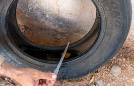 Las cubiertas deben ser eliminadas para que no se conviertan en criaderos de mosquitos. Un técnico del Mades mide la concentración de larvas en una cubierta en desuso.