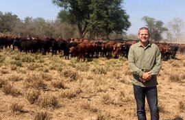La Senabico recaudaba US$ 600.000 mensuales por las vacas decomisadas a Darío Messer.