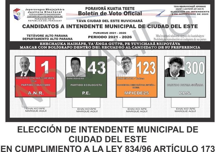 Elecciones en CDE: ¿será posible votar usando cédula digital?