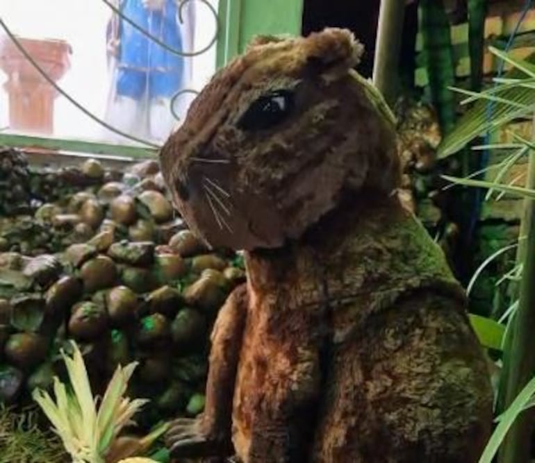 El capibara es la nueva figura del pesebre hidráulico de la familia Sabaté, en Luque.