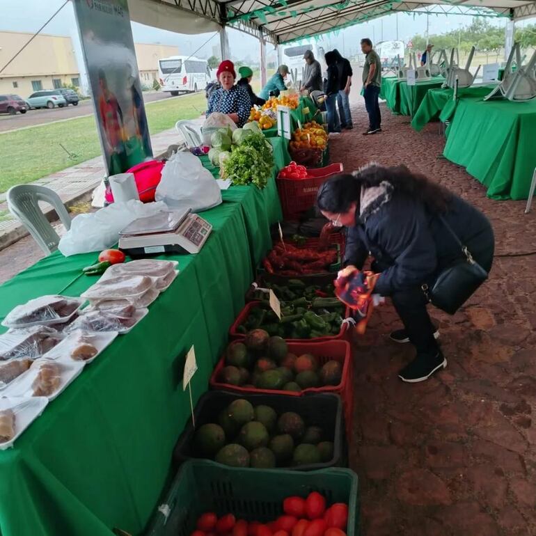 Feria de agricultura familiar