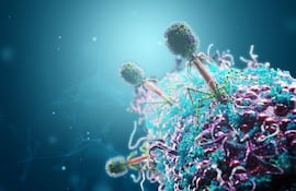 Aunque la fagoterapia -el uso de esos bacteriófagos- continúa en desarrollo clínico, estos tratamientos podrían ofrecer nuevas alternativas cuando las terapias convencionales resultan insuficientes.