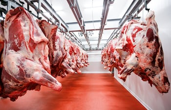 medias reces de vaca colgadas en un frigorífico