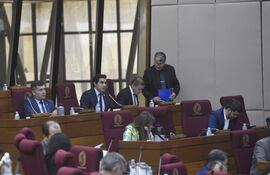 Sesión de la Cámara de Diputados.