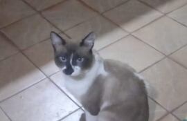 Chilly Willy se extravió en la zona de Sajonia, cerca del punto de referencia de Cereales Molinos Harineros.