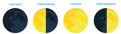 Las fases de la luna.