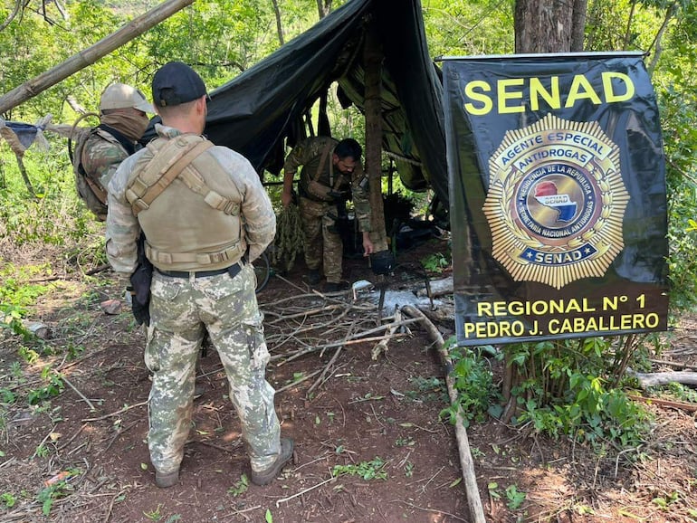 Los antidrogas de la Senad también hallaron campamentos narcos durante una intervención en zona de Cerro Corá.