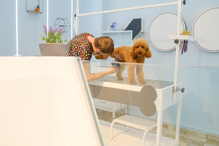 Perro en la peluquería.