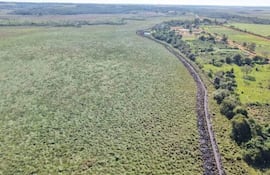 Investigan presunto daño ambiental y supuesta canalización irregular en humedal de Paso Yobái