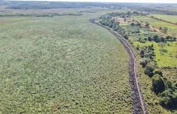 Investigan presunto daño ambiental y supuesta canalización irregular en humedal de Paso Yobái