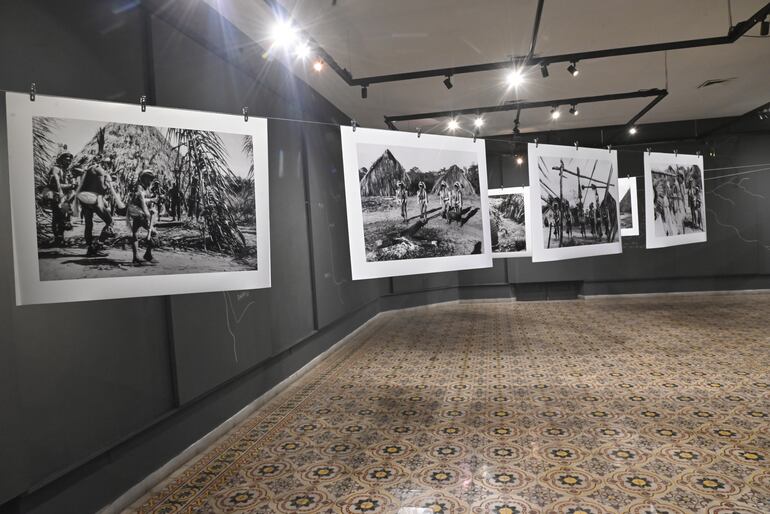 Meliá en el Mato Grosso.