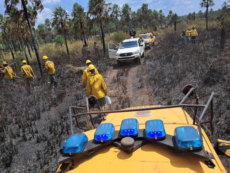 Bomberos voluntarios de varias ciudades luchan contra un voraz incendio que ya consumió 40 hectáreas de la Reserva Natural Aguapey, en San Bernardino.