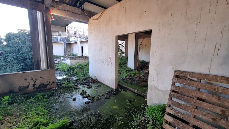 Interior del Palacete Municipal con suelo cubierto de hierba y agua estancada, aberturas visibles y palé de madera en primer plano.