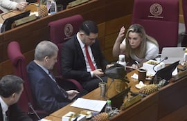 Sesion de la camara del senado en el congreso
Hoy 10 de Diciembre de 2025
Gustavo Machado