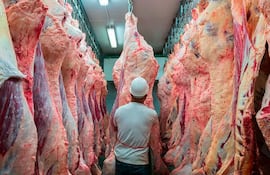 carne-exportaciones-2.webp