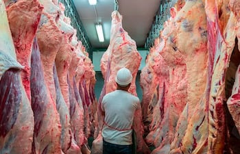 carne-exportaciones-2.webp