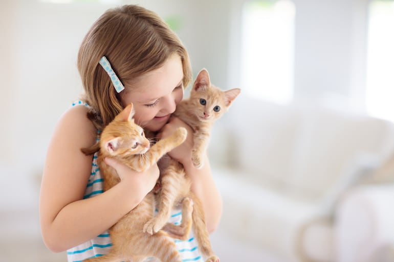 Niña y sus gatos.