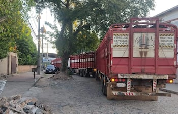 Camiones trasganados en las calles del barrio Virgen de Fátima, en la zona de frigoríficos de Tablada. Los vecinos denuncian que estos vehículos siguen ingresando con total impunidad y generan caos en el barrio, pese a la ordenanza que prohibe su circulación por la zona.