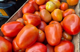 Tomates