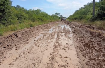Camino de tierra con barro y charcos, flanqueado por vegetación, sin personas visibles.