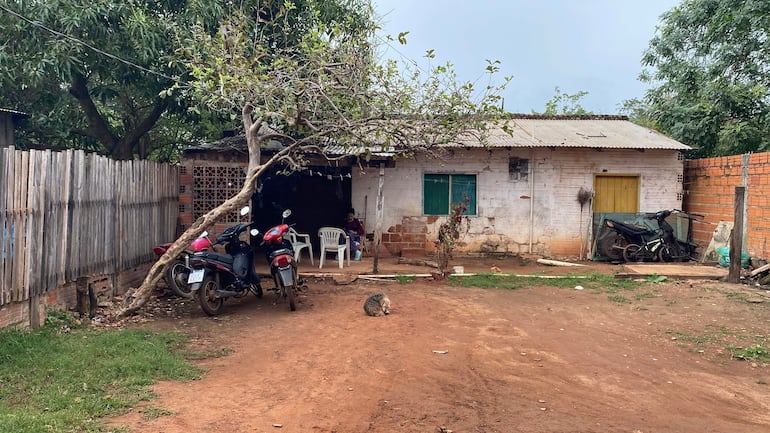 Mujer sentada en silla blanca, usando móvil. Gato en el suelo, entorno rural con casa simple y flores.