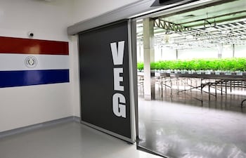 Con el respaldo del Grupo Scavone, Pharma Industries impulsa una inversión estratégica para consolidar una plataforma nacional de producción farmacéutica de alto valor agregado.