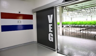 Con el respaldo del Grupo Scavone, Pharma Industries impulsa una inversión estratégica para consolidar una plataforma nacional de producción farmacéutica de alto valor agregado.