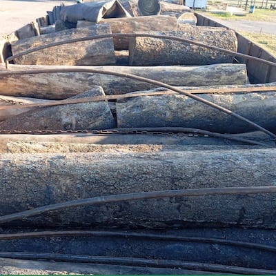 Unos 350 pequeños rollos de palo santo fueron incautados, ademas del camión y otras maquinarias, por agentes policiales en zona de Centinela, nueva ruta de la Bioceánica, en el Alto Paraguay.