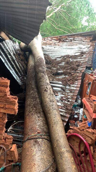 Caída de árboles ocasionaron destrozos en al menos cinco viviendas de Villa Elisa esta mañana.