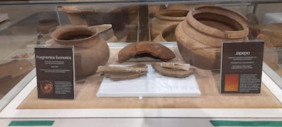 Museo Histórico Ambiental, donde se exhiben piezas recolectadas durante la construcción de la represa, además de objetos vinculados a la historia local.