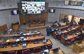 La Cámara de Senadores rechazó un millonario crédito internacional que se pretendía destinar a consultorías. Hacienda justificó el préstamo.