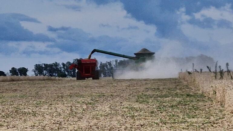 La cosecha de soja en la zona continua con resguardo policial, pero los nativos aseguran que una nueva siembra no permitirán
