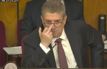 Jaime Bestard en el Senado. Captura de Senado TV