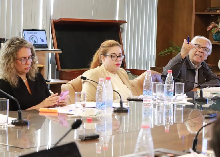 La diputada Rocío Vallejo (PPQ), la diputada Alejandra Zena (Cruzada Nacional) e Ignacio Iramain (independiente).