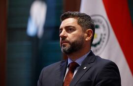 El vicepresidente en ejercicio de la Presidencia Pedro Alliana.